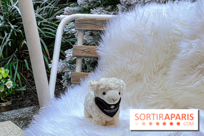 La terrasse d'hiver 2024 de l'hôtel 5* Maison Albar - Le Vendôme : un Tea Time à prix tout doux ! - IMG 5616 jpg