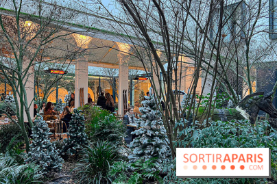 La terrasse d'hiver 2024 de l'hôtel 5* Maison Albar - Le Vendôme : un Tea Time à prix tout doux ! - IMG 5664 jpg