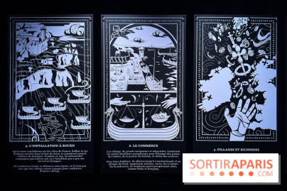 Cité Immersive Viking  - IMG 5245