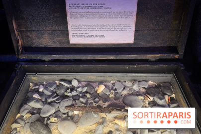 Cité Immersive Viking  - IMG 5251