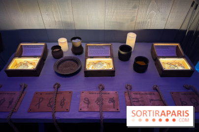 Cité Immersive Viking  - IMG 5265