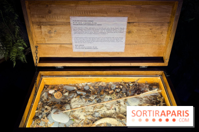 Cité Immersive Viking  - IMG 5274