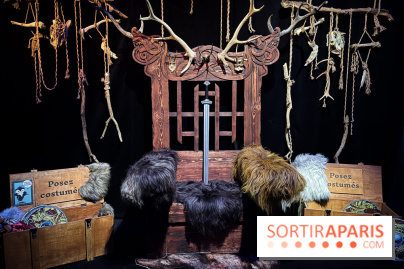 Cité Immersive Viking  - IMG 5287