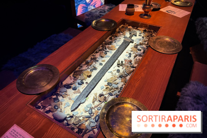 Cité Immersive Viking  - IMG 5296