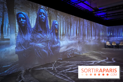 Cité Immersive Viking  - IMG 5319