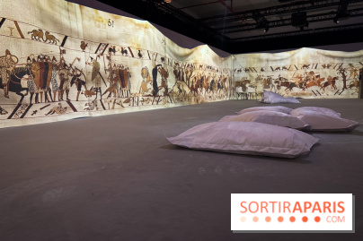 Cité Immersive Viking