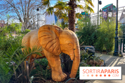 Square de la Jungle - nos photos