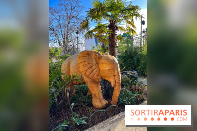 Square de la Jungle - nos photos