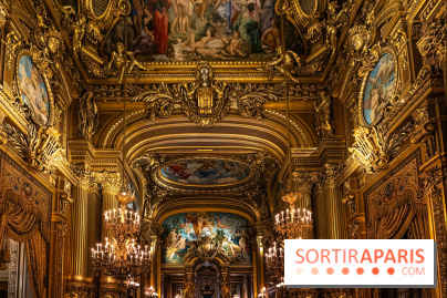 Opéra de Paris - Opéra Garnier - photos -  A7C8854