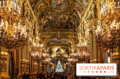 Opéra de Paris - Opéra Garnier - photos -  A7C8870