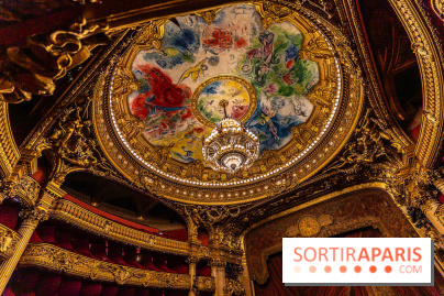 Opéra de Paris - Opéra Garnier - photos -  A7C8879