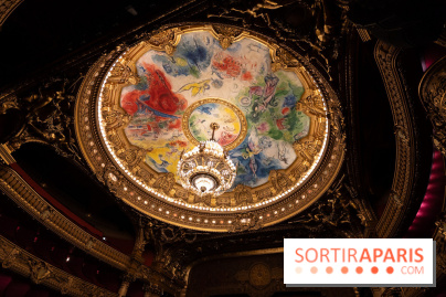 Opéra de Paris - Opéra Garnier - photos -  A7C8885