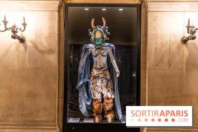 Opéra de Paris - Opéra Garnier - photos -  A7C8907