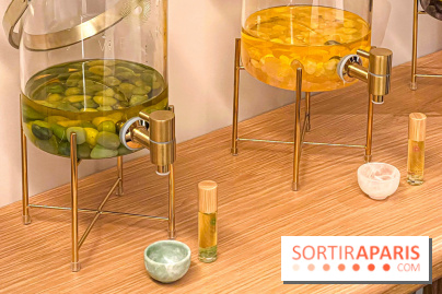 Les Lumières, l'hôtel 5* près du Château de Versailles  - image00069