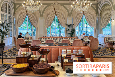 Les Lumières, l'hôtel 5* près du Château de Versailles  - image00080