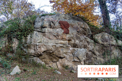 Randonnée à Fontainebleau : le sentier sur les pas de Denecourt jusqu’à la Tour Denecourt -  A7C7554