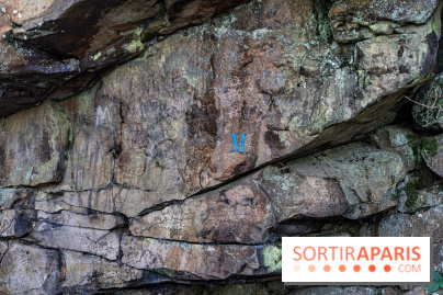 Randonnée à Fontainebleau : le sentier sur les pas de Denecourt jusqu’à la Tour Denecourt -  A7C7559