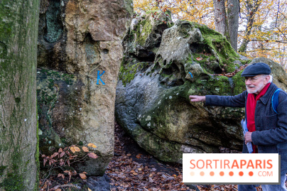 Randonnée à Fontainebleau : le sentier sur les pas de Denecourt jusqu’à la Tour Denecourt -  A7C7560