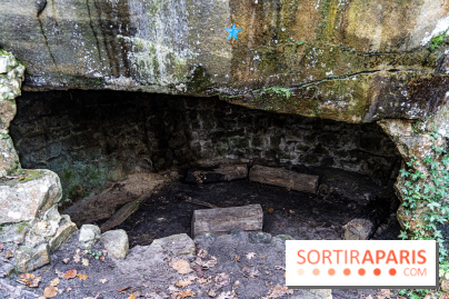 Randonnée à Fontainebleau : le sentier sur les pas de Denecourt jusqu’à la Tour Denecourt -  A7C7567