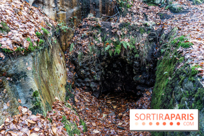 Randonnée à Fontainebleau : le sentier sur les pas de Denecourt jusqu’à la Tour Denecourt -  A7C7577