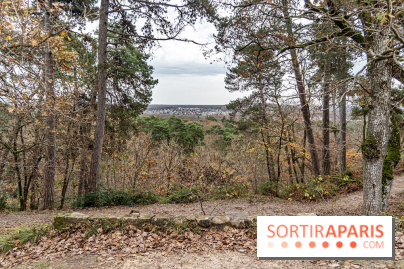 Randonnée à Fontainebleau : le sentier sur les pas de Denecourt jusqu’à la Tour Denecourt -  A7C7586