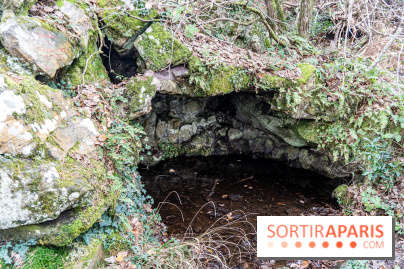 Randonnée à Fontainebleau : le sentier sur les pas de Denecourt jusqu’à la Tour Denecourt -  A7C7587