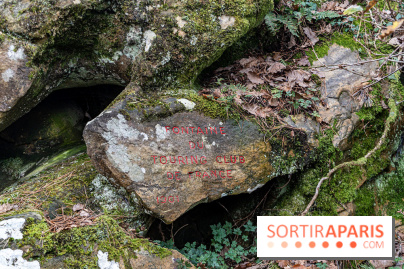 Randonnée à Fontainebleau : le sentier sur les pas de Denecourt jusqu’à la Tour Denecourt -  A7C7590