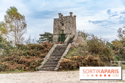 Randonnée à Fontainebleau : le sentier sur les pas de Denecourt jusqu’à la Tour Denecourt -  A7C7600