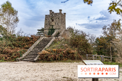 Randonnée à Fontainebleau : le sentier sur les pas de Denecourt jusqu’à la Tour Denecourt -  A7C7603