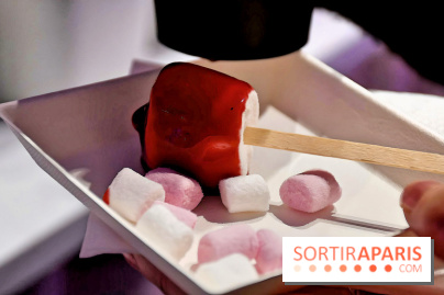 Le Pop-Up Store Yves Saint-Laurent Beauté à Pairs - IMG 5227