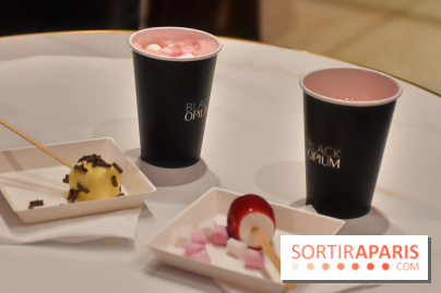 Le Pop-Up Store Yves Saint-Laurent Beauté à Pairs - IMG 5228