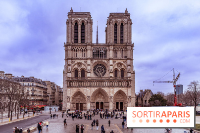 Visite de Notre-Dame de Paris -  A7C0231