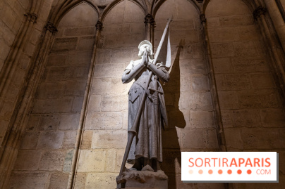 Visite de Notre-Dame de Paris -  A7C0225