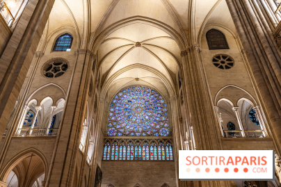 Visite de Notre-Dame de Paris -  A7C0224