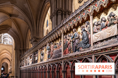 Visite de Notre-Dame de Paris -  A7C0219
