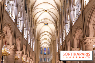 Visite de Notre-Dame de Paris -  A7C0176