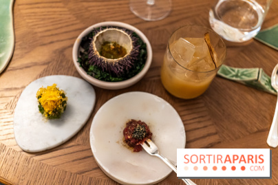 Restaurant Bellefeuille par Grégory Garimbay au Saint James Paris -  A7C0394