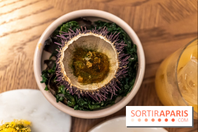 Restaurant Bellefeuille par Grégory Garimbay au Saint James Paris -  A7C0395