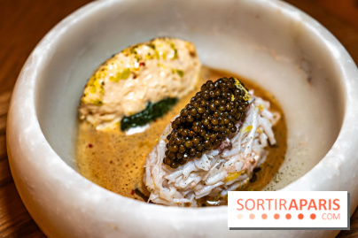 Restaurant Bellefeuille par Grégory Garimbay au Saint James Paris -  A7C0408
