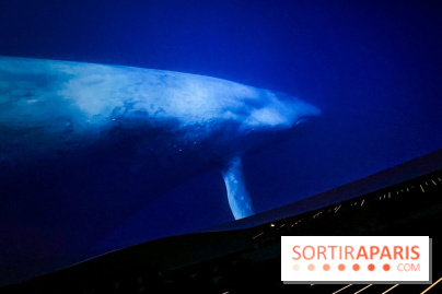 La Géode 2025 - IMG 8535 jpg