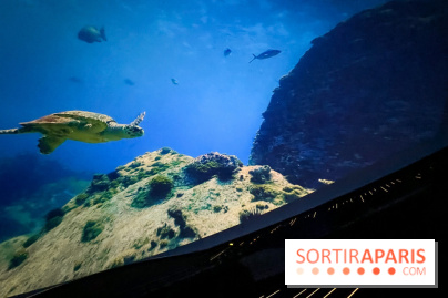 La Géode 2025 - IMG 8543 jpg