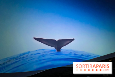 La Géode 2025 - IMG 8581 jpg