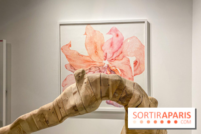 Exposition Belladone de Tatiana Wolska au Drawing Lab - IMG 2353