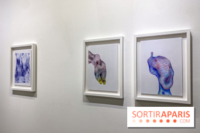 Exposition Belladone de Tatiana Wolska au Drawing Lab - IMG 2360