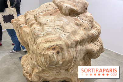 Exposition Belladone de Tatiana Wolska au Drawing Lab - IMG 2364