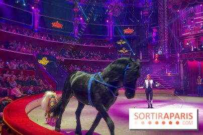 Spectaculaire - Cirque d'hiver