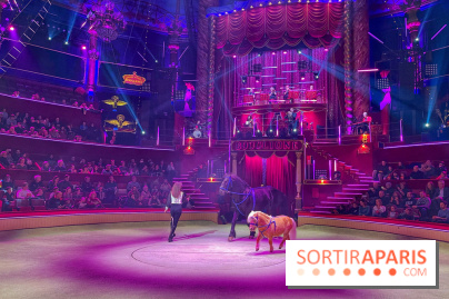 Spectaculaire - Cirque d'hiver - IMG 8495