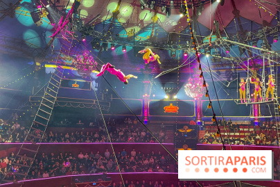 Spectaculaire - Cirque d'hiver - IMG 8554