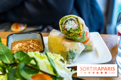 Chez An - Au coin du Vietnam, restaurant vietnamien du 14e à Paris -  rouleau de printemps