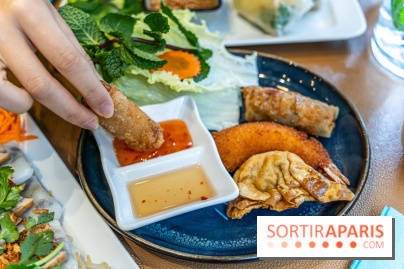 Chez An - Au coin du Vietnam, restaurant vietnamien du 14e à Paris -  nems - assortiment frit